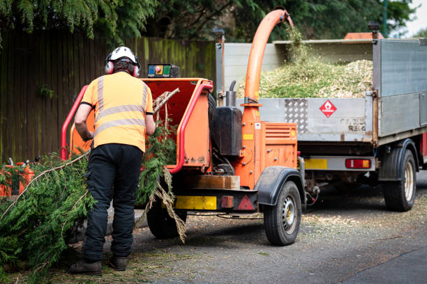 Leaf Removal in Niverville, NY